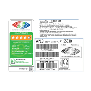 Google Tivi Sony 4K 55 inch K-55S30