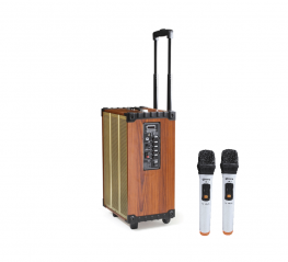 Loa kéo Arirang MKS1