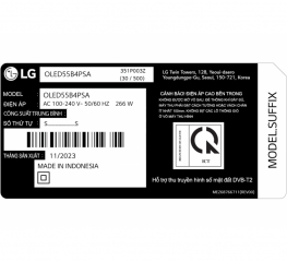 Smart Tivi OLED LG 4K 55 inch 55B4PSA