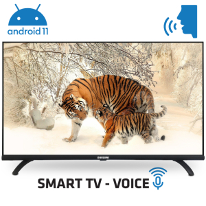SMART VOICE TIVI DARLING 43 INCH 43FH964V