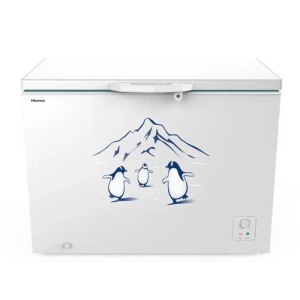 Tủ đông Hisense 300 lít FC380D4EWC1