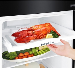 Tủ Lạnh LG Inverter 255 lít GN-D255PS