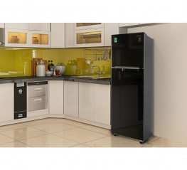 Tủ lạnh Samsung Inverter 256 lít RT25M4032BU/SV