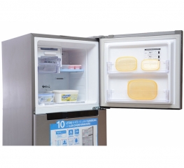 Tủ Lạnh SAMSUNG Inverter 234 Lít RT22FARBDSA/SV